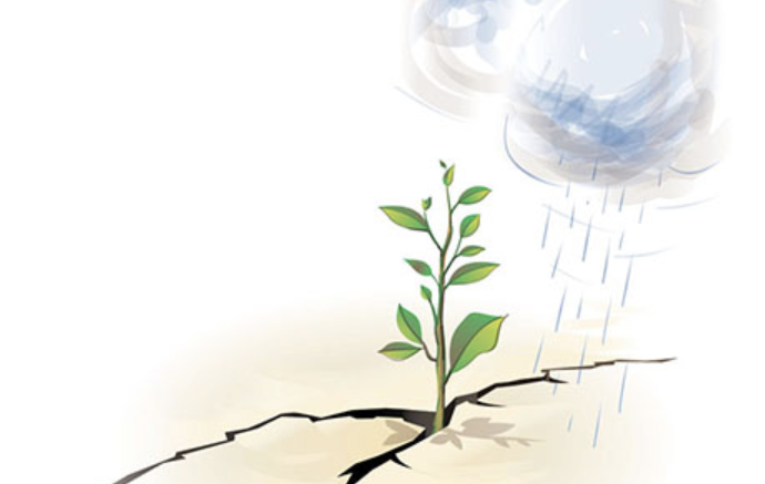 Une petite plante pousse à partir d'une fissure dans le sol, avec de la pluie tombant d'un nuage au-dessus. Cela symbolise la croissance et la résilience.